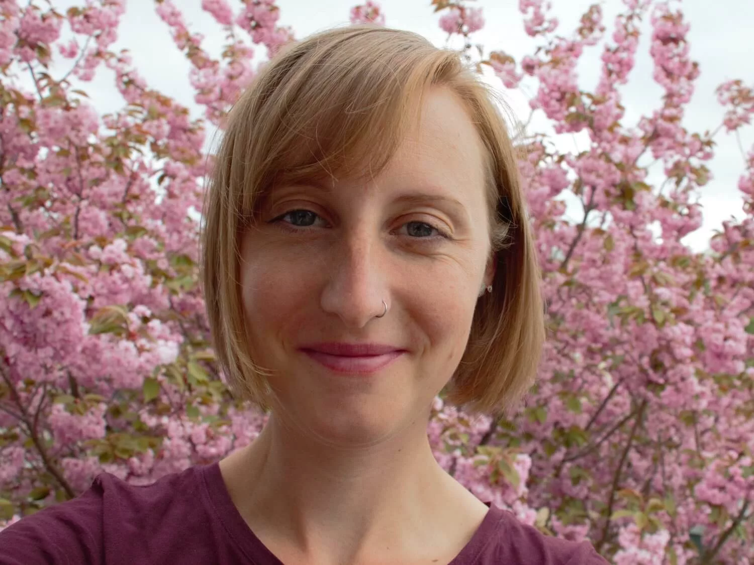 wer wir sind,softwareentwicklung für verkehrsplanung,verkehrsplanung software,digitale mobilitätsplanung,verkehrswende tools,radverkehrsplanung digital,nachhaltige mobilität kommunen,kommunale verkehrsplanung,Open-Source-Software